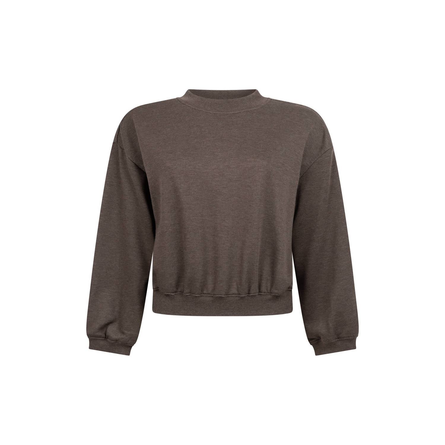 Another-Label cropped trui bruin