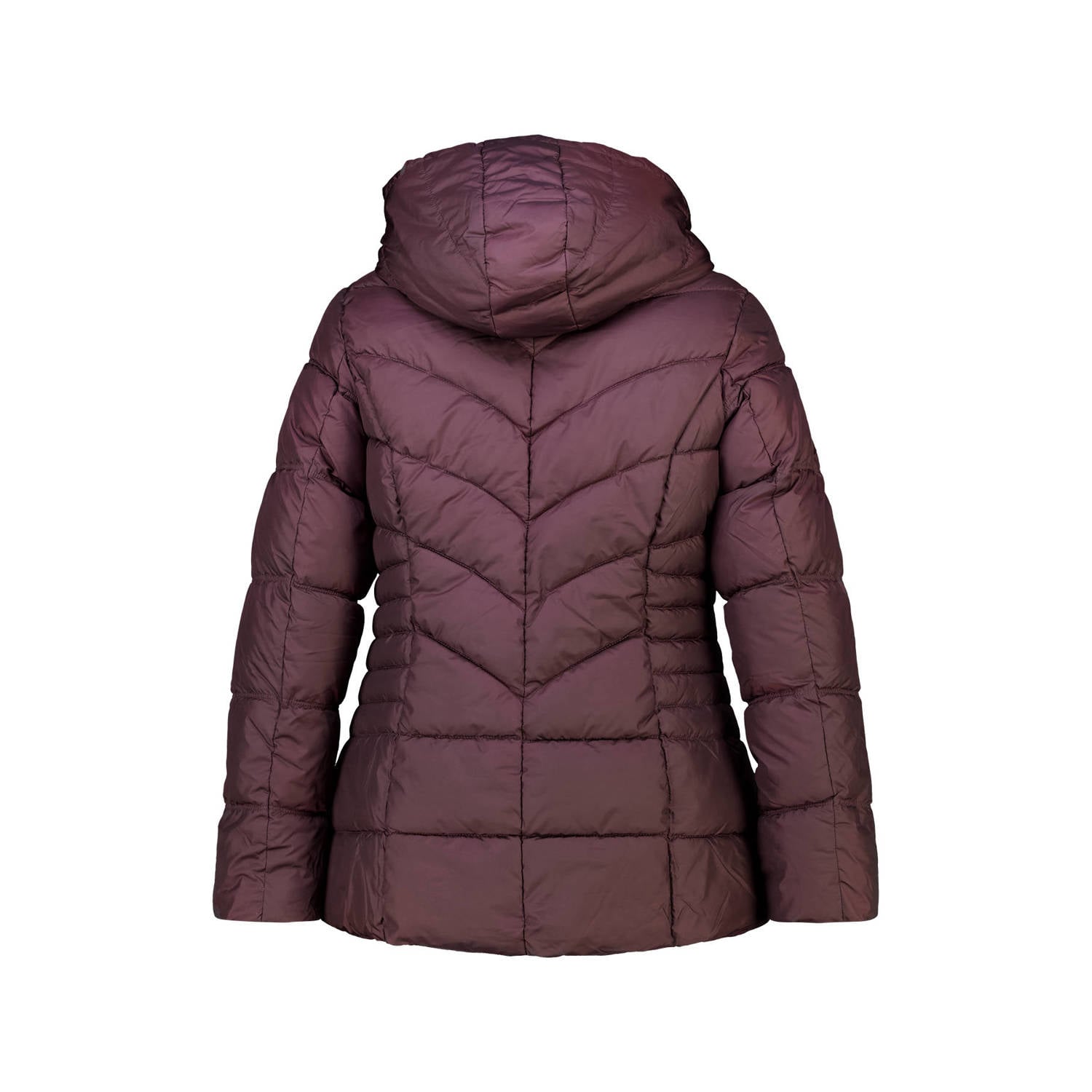 MS Mode Plus Size winterjas donkerrood