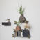 WOOOD vaas 20x21x6 cm - oudroze