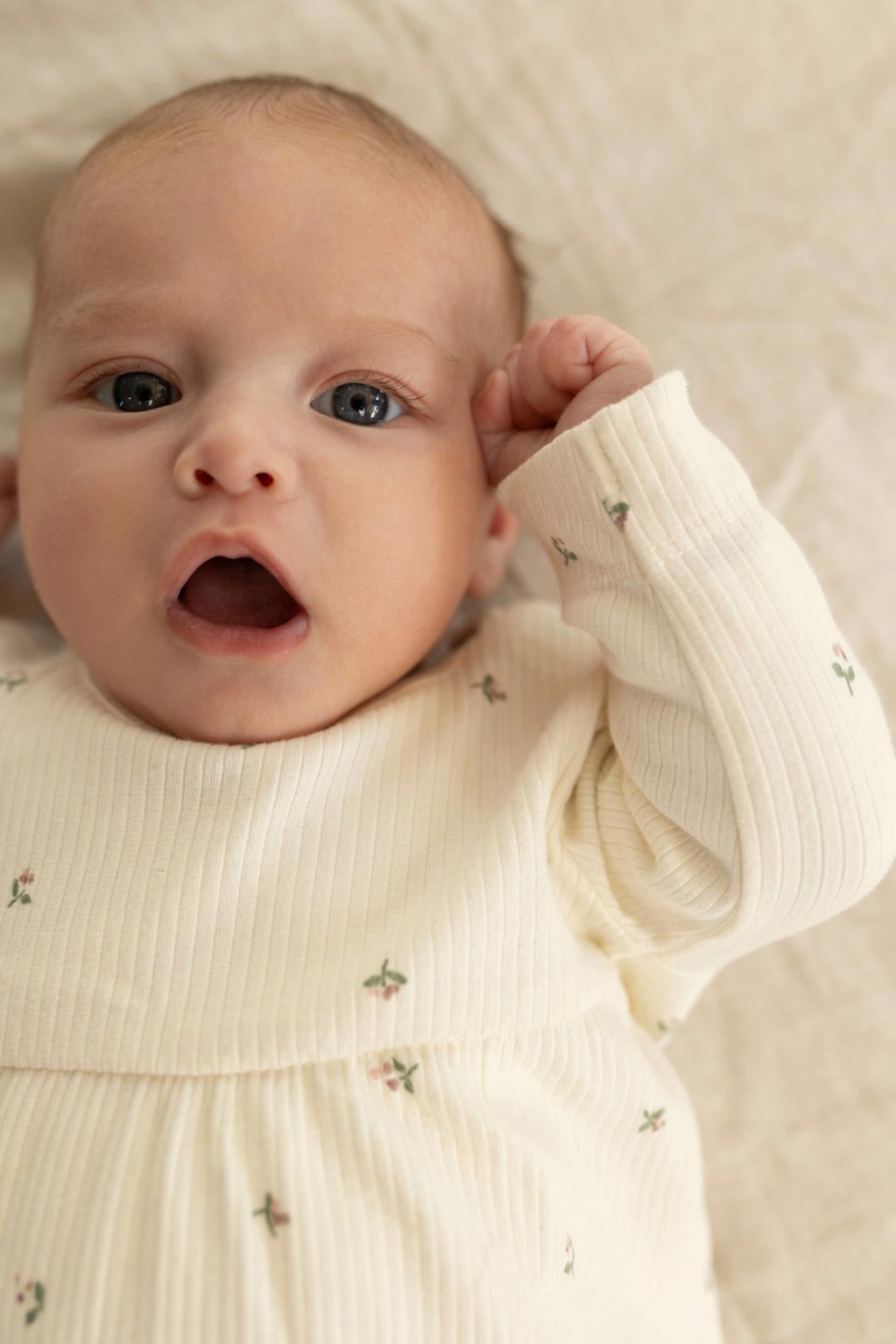 Noppies baby katoenen gebloemde A-lijn midi jurk - ecru