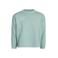 Shoeby sweater met backprint - mintgroen