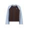 America Today longsleeve - bruin/lichtblauw