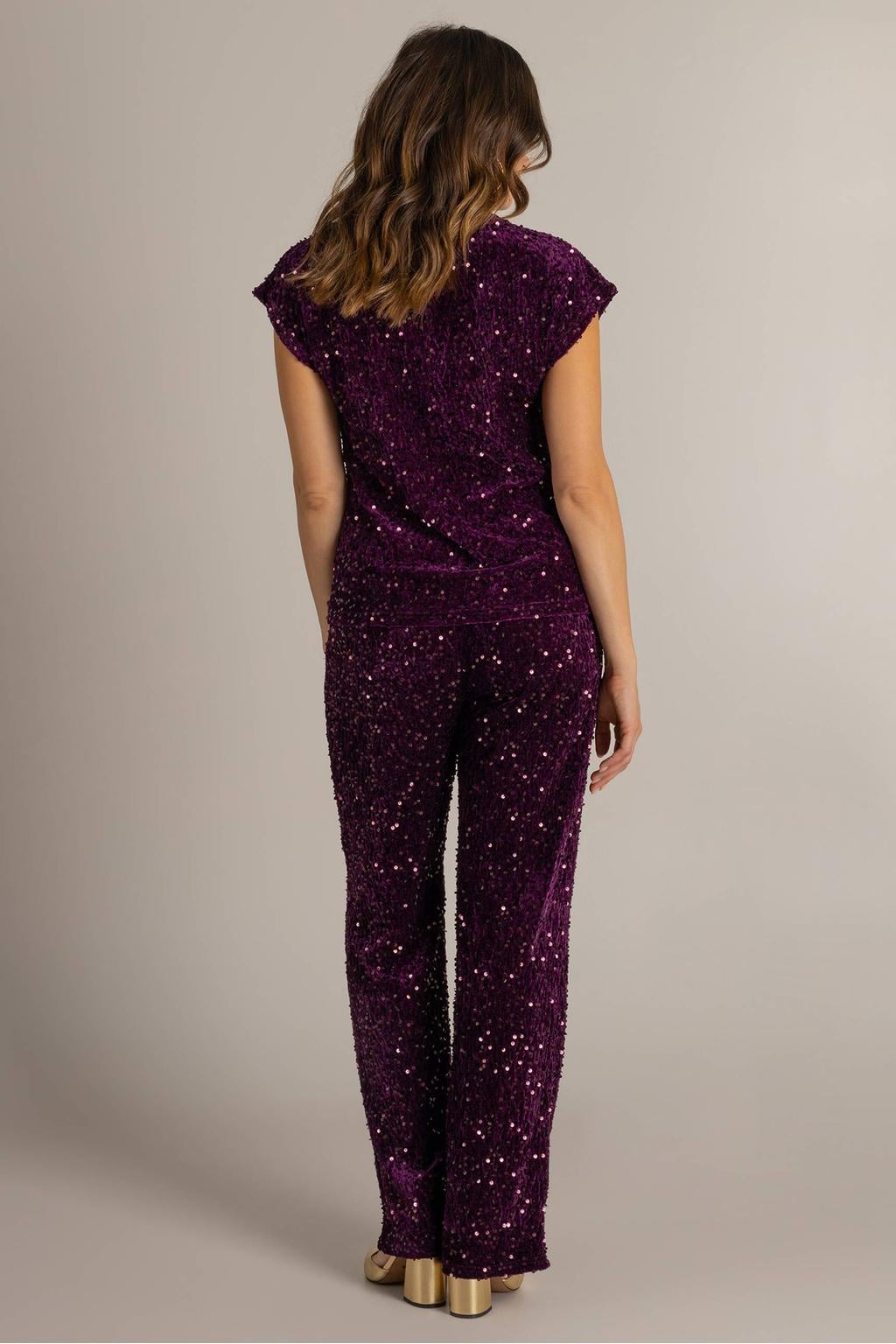 Ivy Beau top met pailletten - paars
