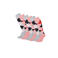 Apollo Kniekousen fashion - 6-Pack