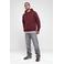 Shoeby regular fit hoodie met borduursels - donkerrood