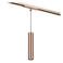 Lucide dimbare LED railverlichting - champagne