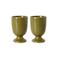 HKLIVING koffiemokken - moss (set van 2)