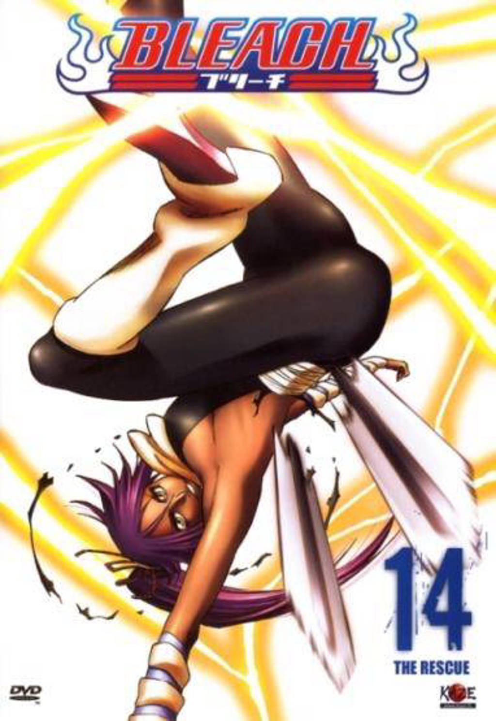 Bleach 14 (DVD)