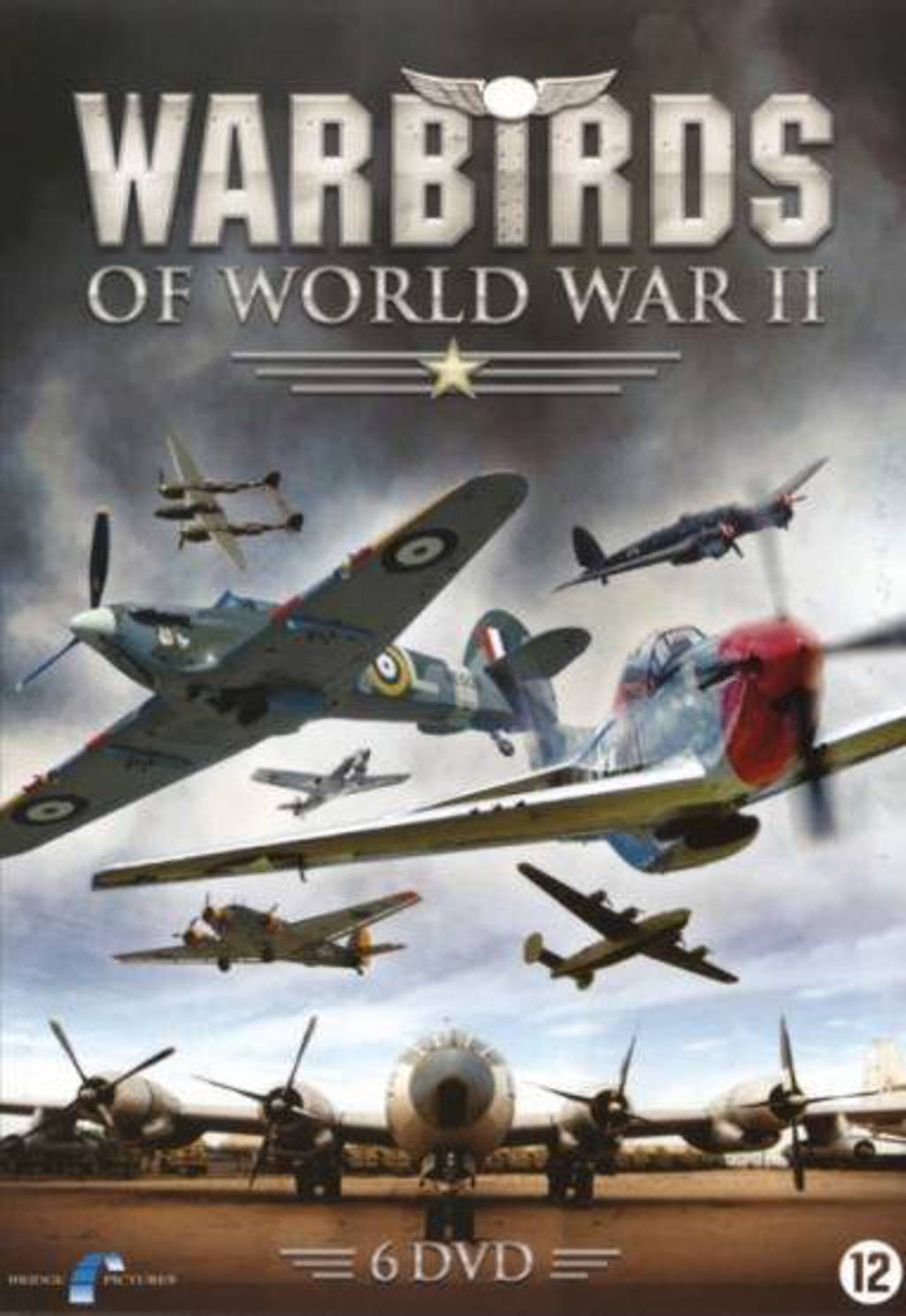 Warbirds of worldwar II (DVD)