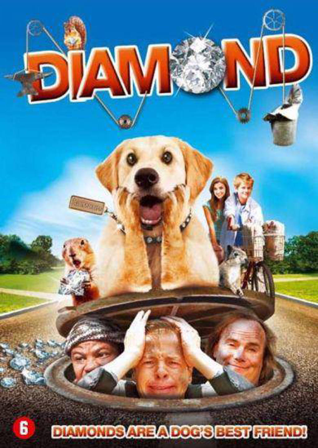 Diamond (DVD)