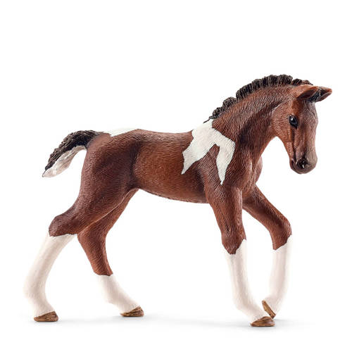 Schleich Horse Club Trakehnen Veulen schleich kopen in de aanbieding Schleich Horse Club Trakehnen Veulen schleich kopen in de aanbieding