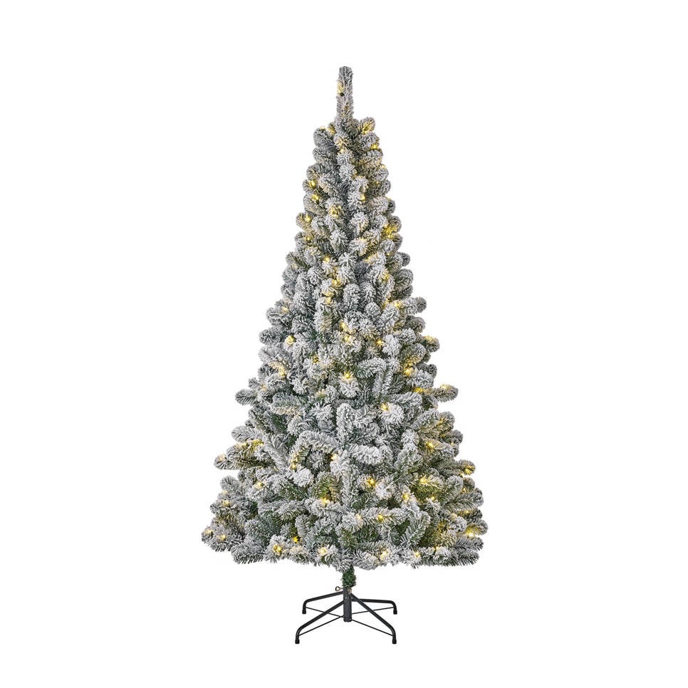 Black Box verlichte kerstboom Millington (h185 x ø109 cm) | wehkamp Black Box verlichte kerstboom Millington (h185 x ø109 cm) | wehkamp