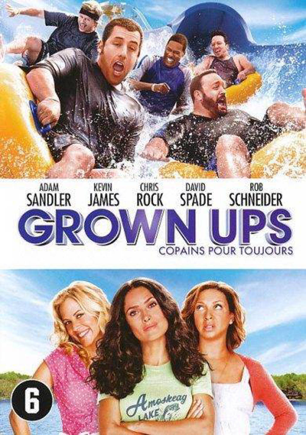Grown ups (2010) (DVD)