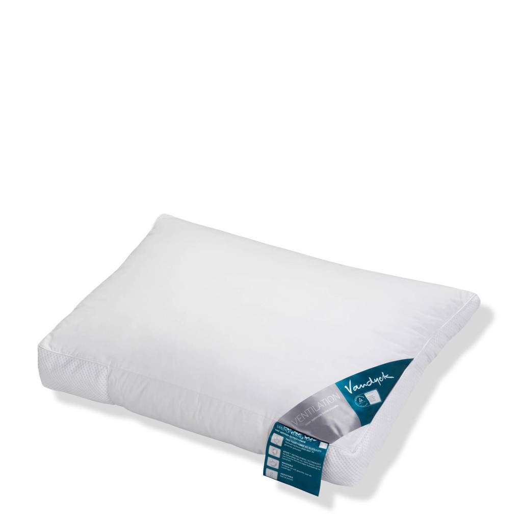 Vandyck synthetisch kussen Ventilation 3 (60x70 cm)