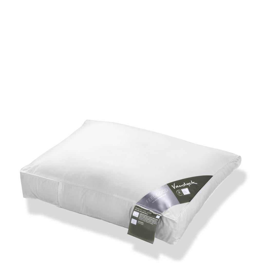 Hoofdkussen Apres Ski Vegan Dons 60x70cm Hoofdkussen Apres Ski Vegan Dons 60x70cm