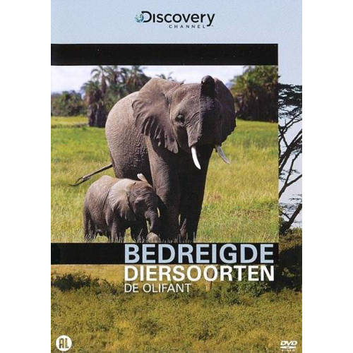 Bedreigde Diersoorten De Olifant Dvd huismerk kopen in de aanbieding