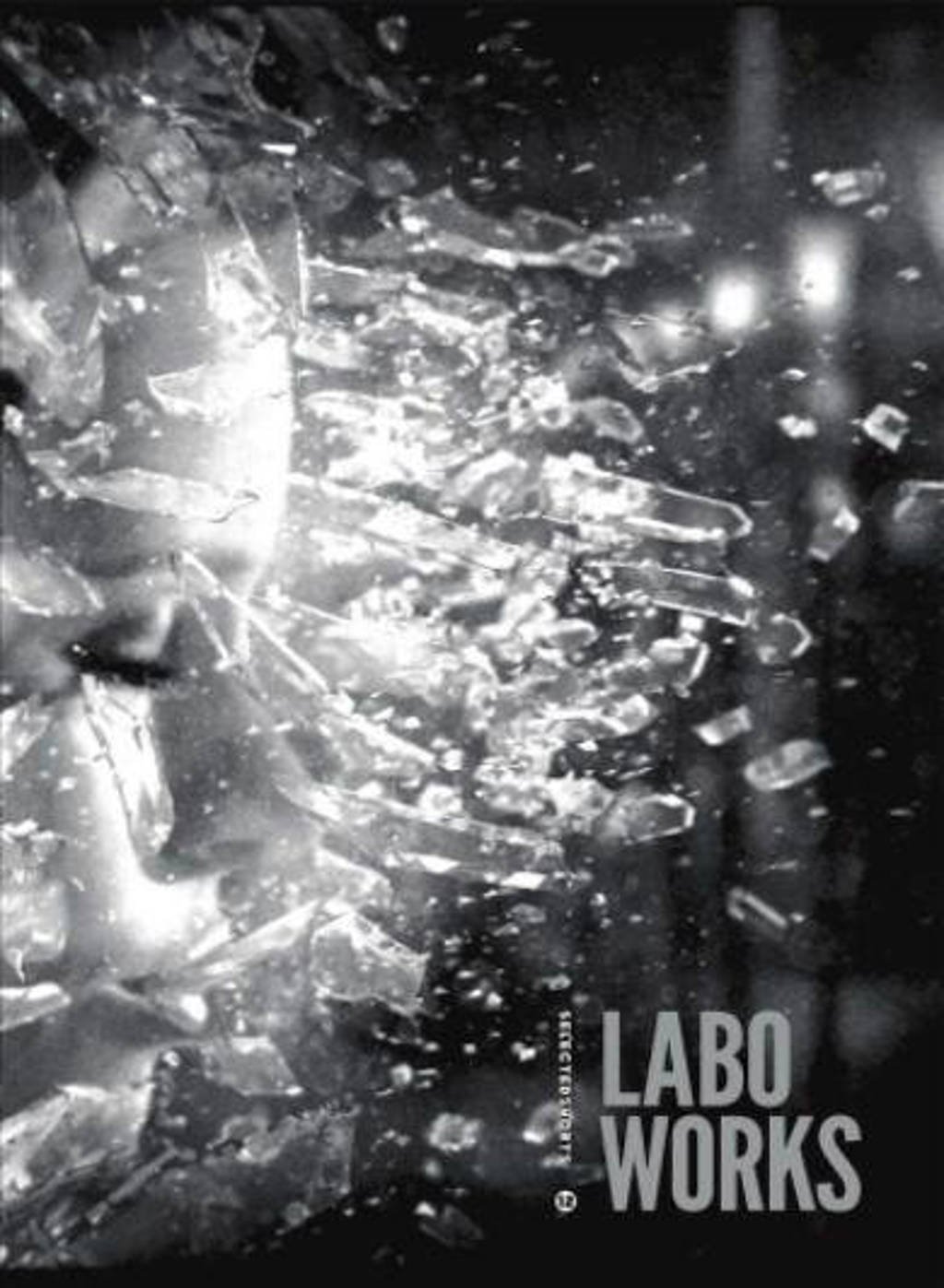 Selected shorts 12 - Labo works (DVD)