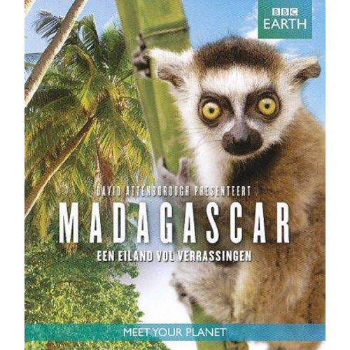 Bbc Earth Madagascar Blu Ray huismerk kopen in de aanbieding Bbc Earth Madagascar Blu Ray huismerk kopen in de aanbieding