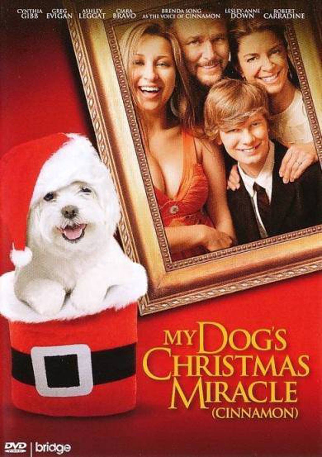 My dog's christmas miracle (DVD)