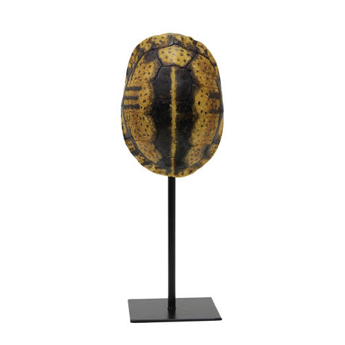 Hk Living Hkliving Ornament Kunstschildpad hk living kopen in de aanbieding Hk Living Hkliving Ornament Kunstschildpad hk living kopen in de aanbieding