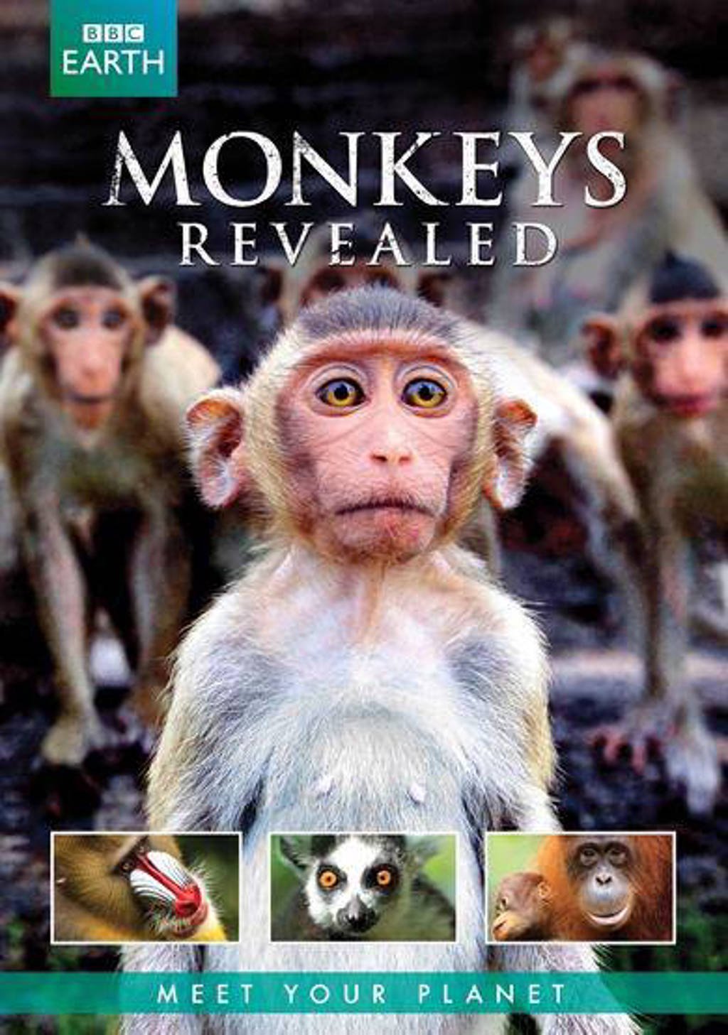 BBC earth - Monkey's revealed (DVD)