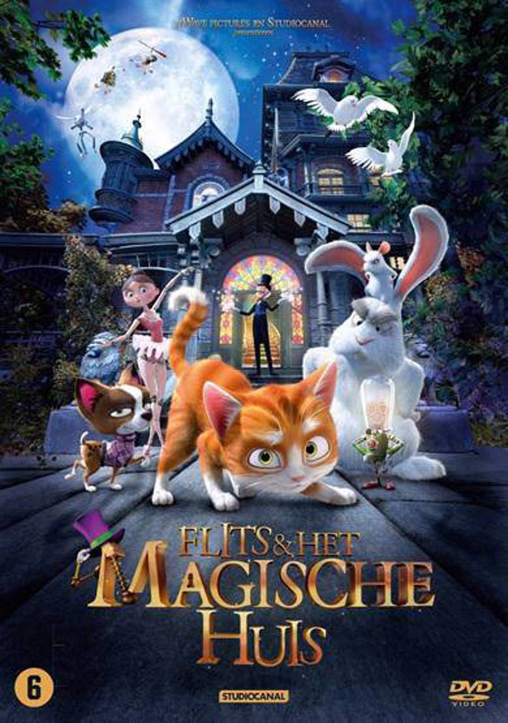 Flits en het magische huis (DVD)