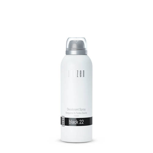 JANZEN Black 22 deodorant spray - 150 ml afbeelding