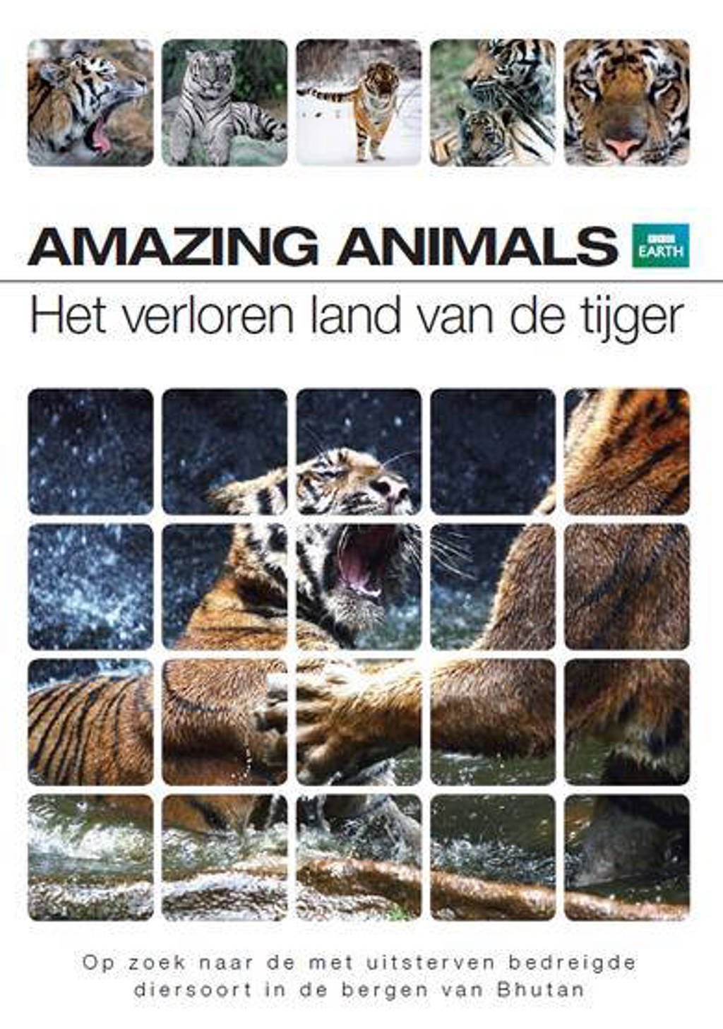 Amazing animals - Het verloren land van de tijger (DVD)