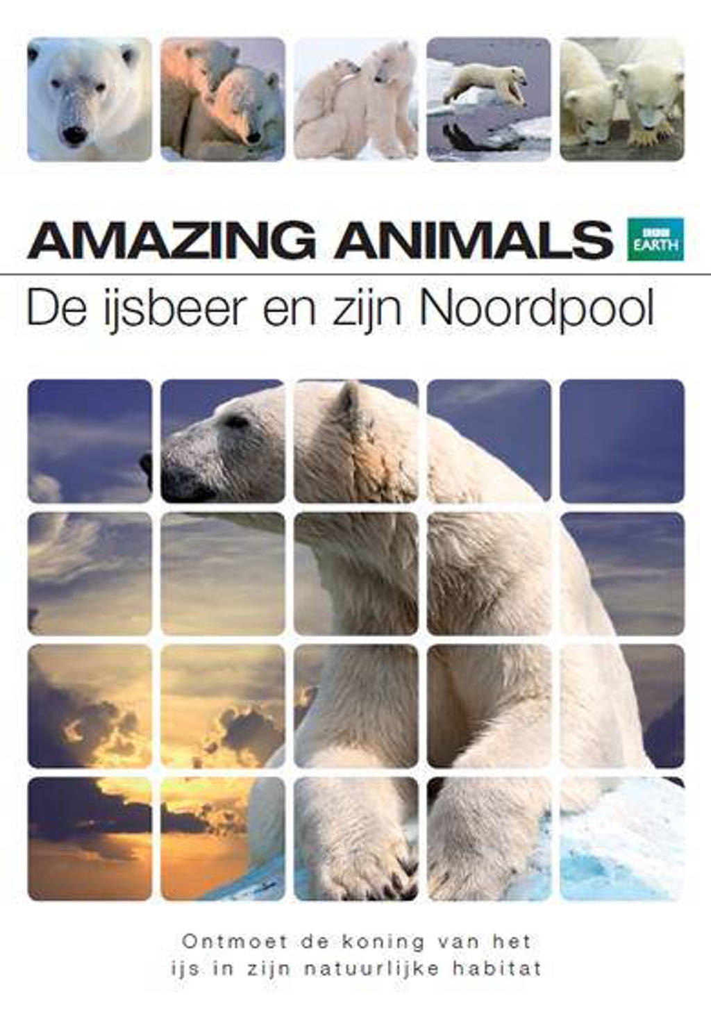 Amazing animals - De ijsbeer en zijn Noordpool (DVD)