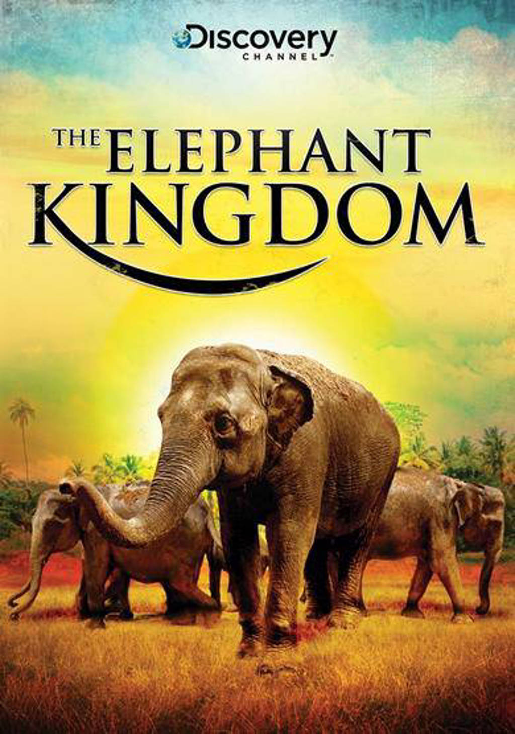 Elephant kingdom (DVD)