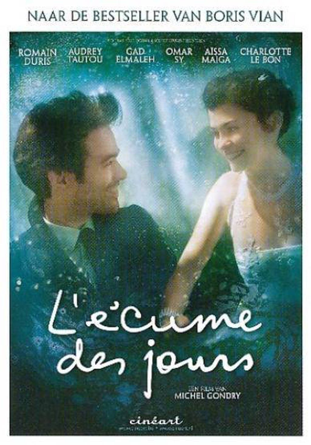 L'ecume des jours (DVD)