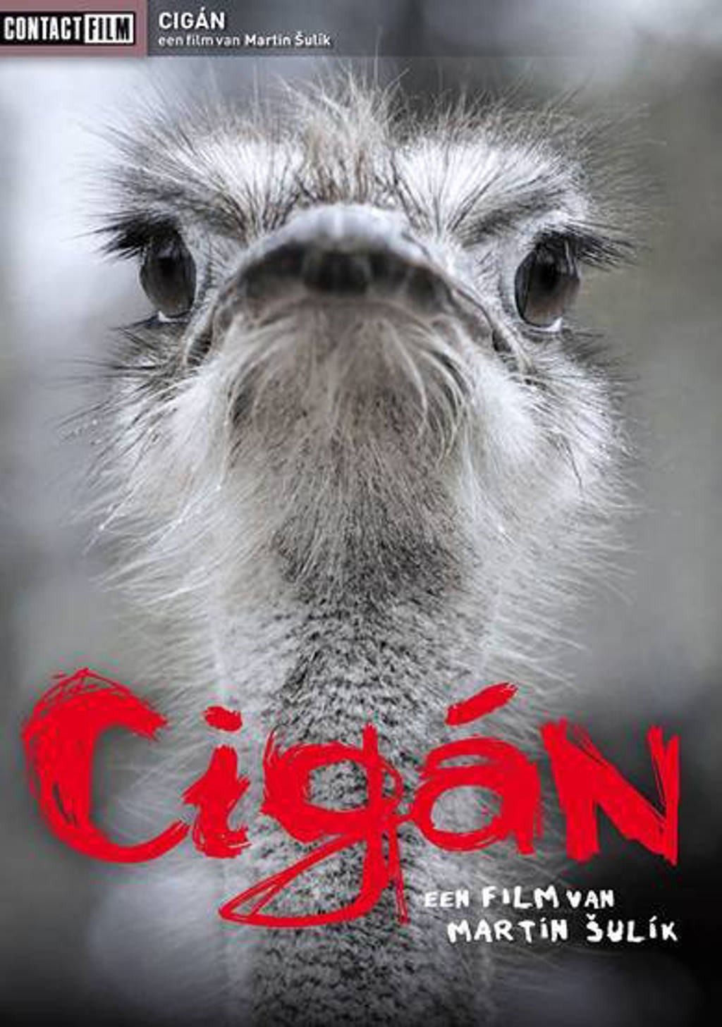 Cigan (DVD)