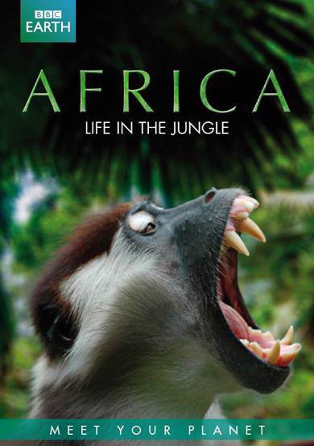BBC earth - Africa life in the jungle (DVD)