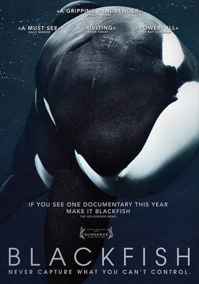 Blackfish (DVD) | Wehkamp