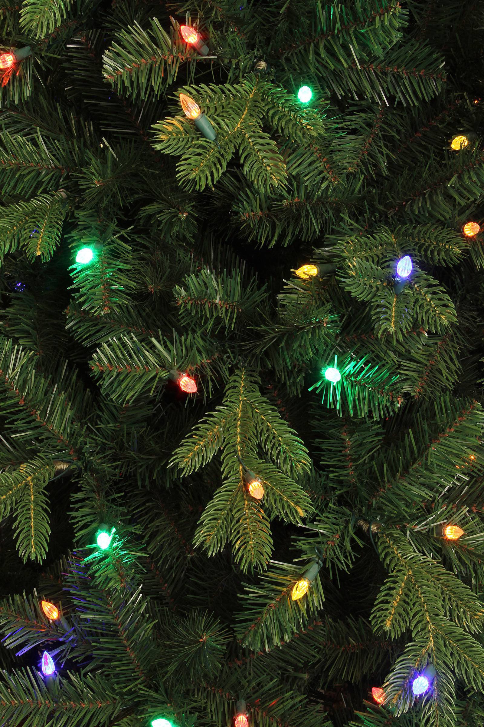 Black Box verlichte kerstboom Milton (h185 x ø112 cm) | wehkamp Black Box verlichte kerstboom Milton (h185 x ø112 cm) | wehkamp