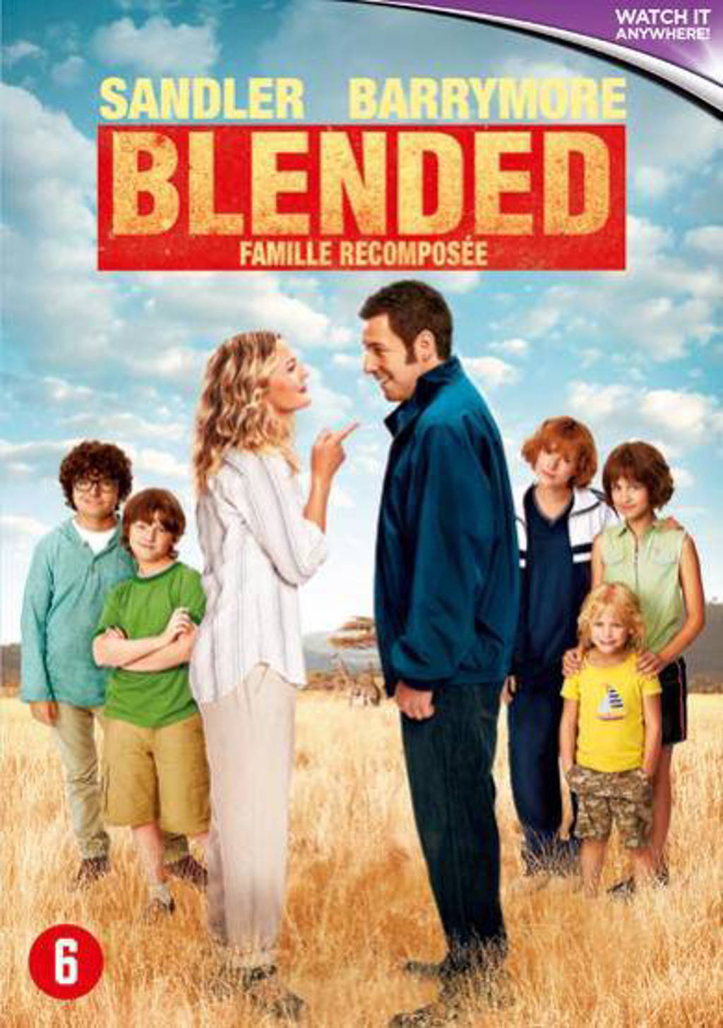 Blended (DVD)
