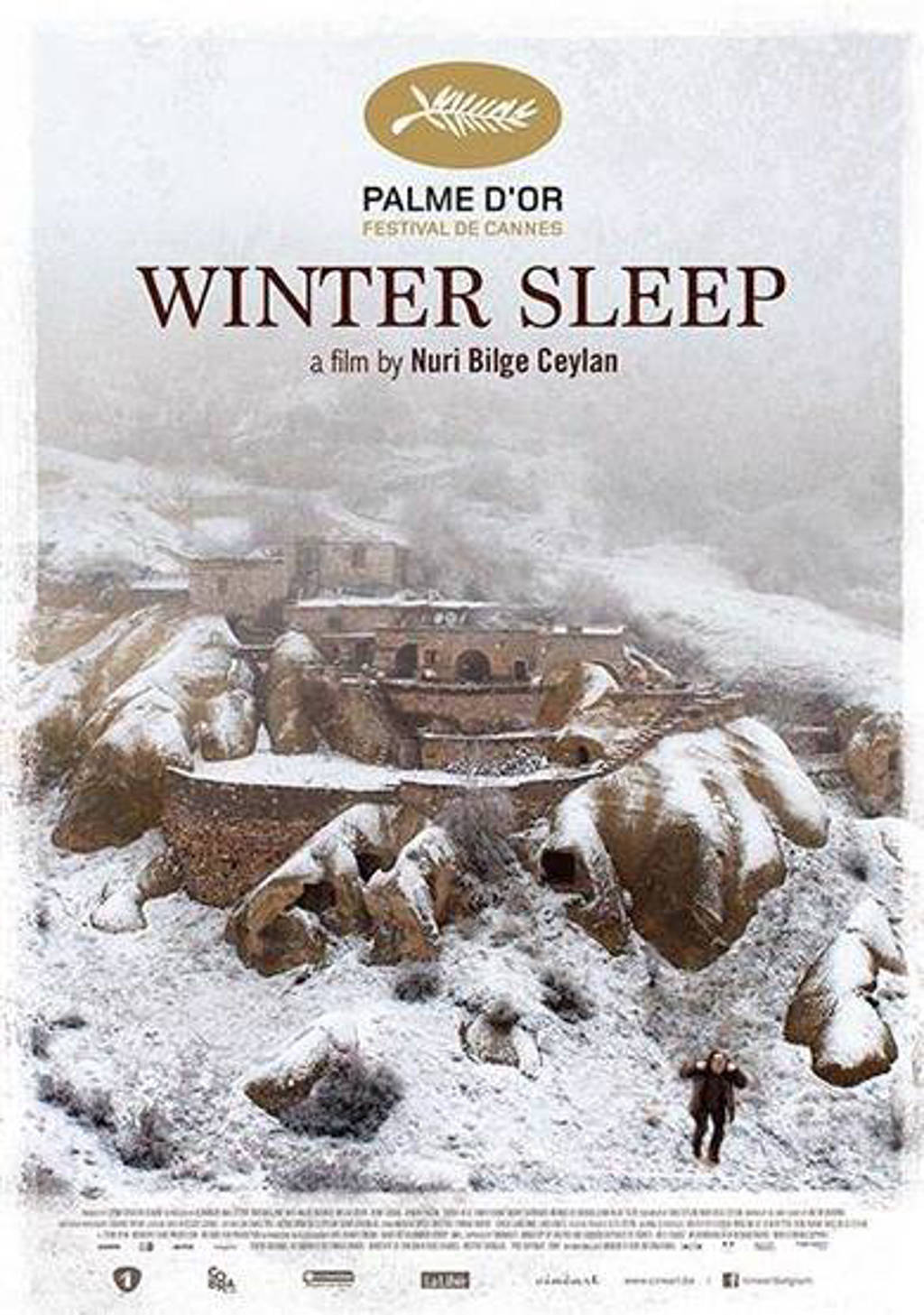 Winter sleep (DVD)
