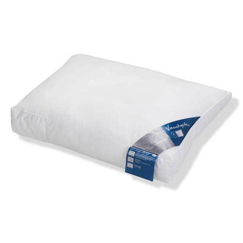 Vandyck Synthetisch Kussen 60X70 Cm vandyck kopen in de aanbieding Vandyck Synthetisch Kussen 60X70 Cm vandyck kopen in de aanbieding