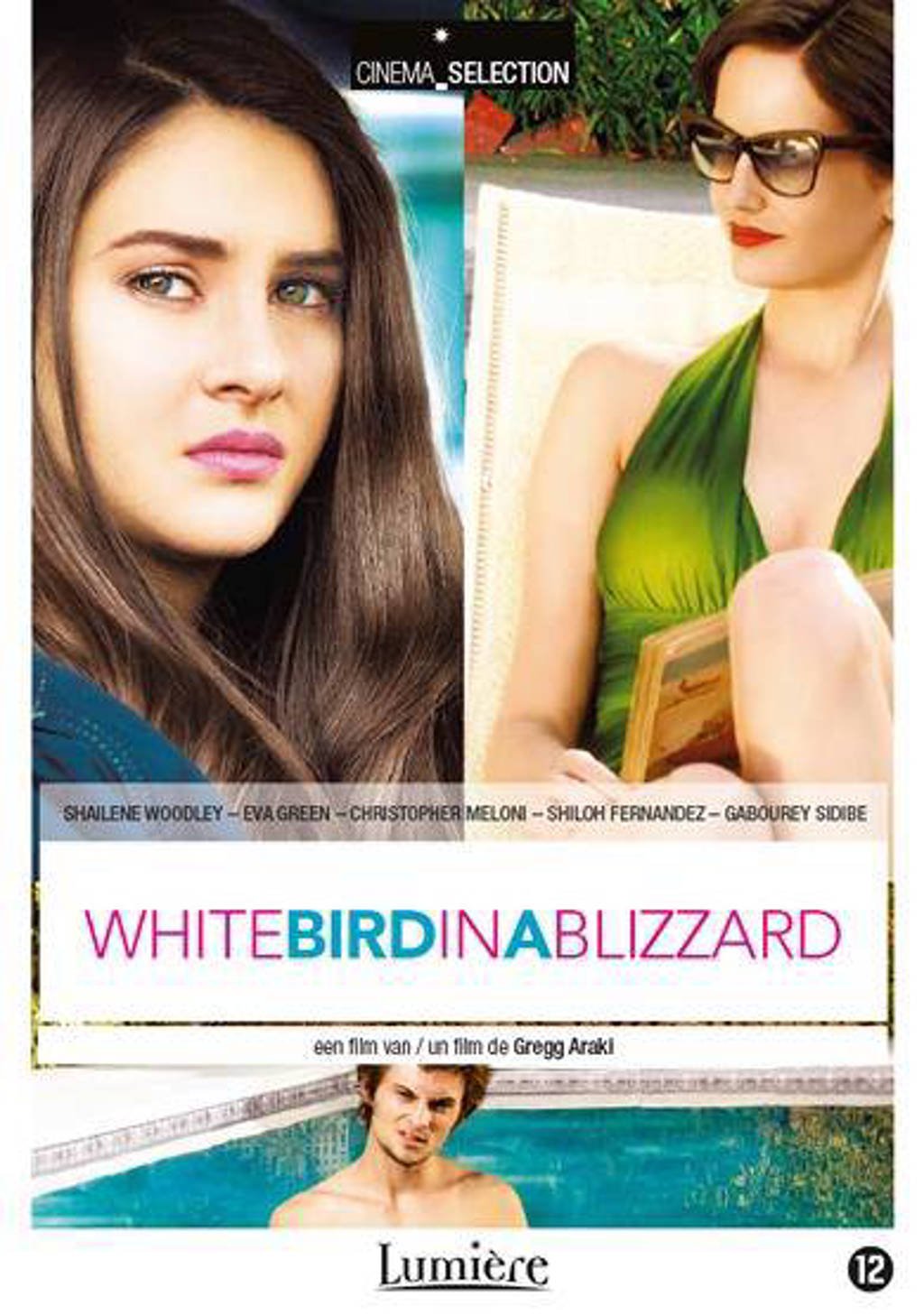 White bird in a blizzard (DVD)