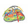 PLAYGRO babygym