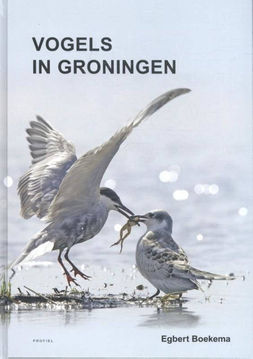 Vogels in Groningen - Egbert Boekema