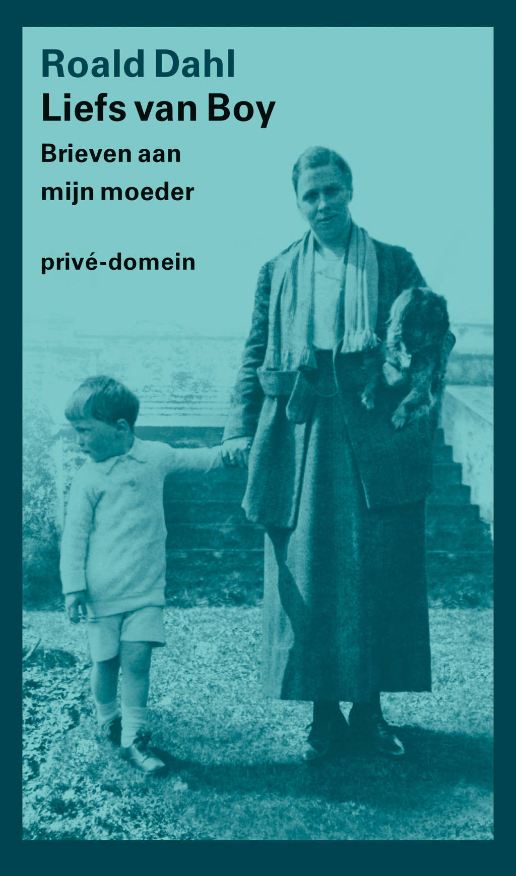Liefs van Boy - Roald Dahl