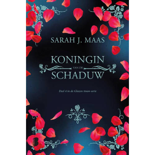 Glazen Troon Koningin Van De Schaduw Sarah J Maas huismerk kopen in de aanbieding