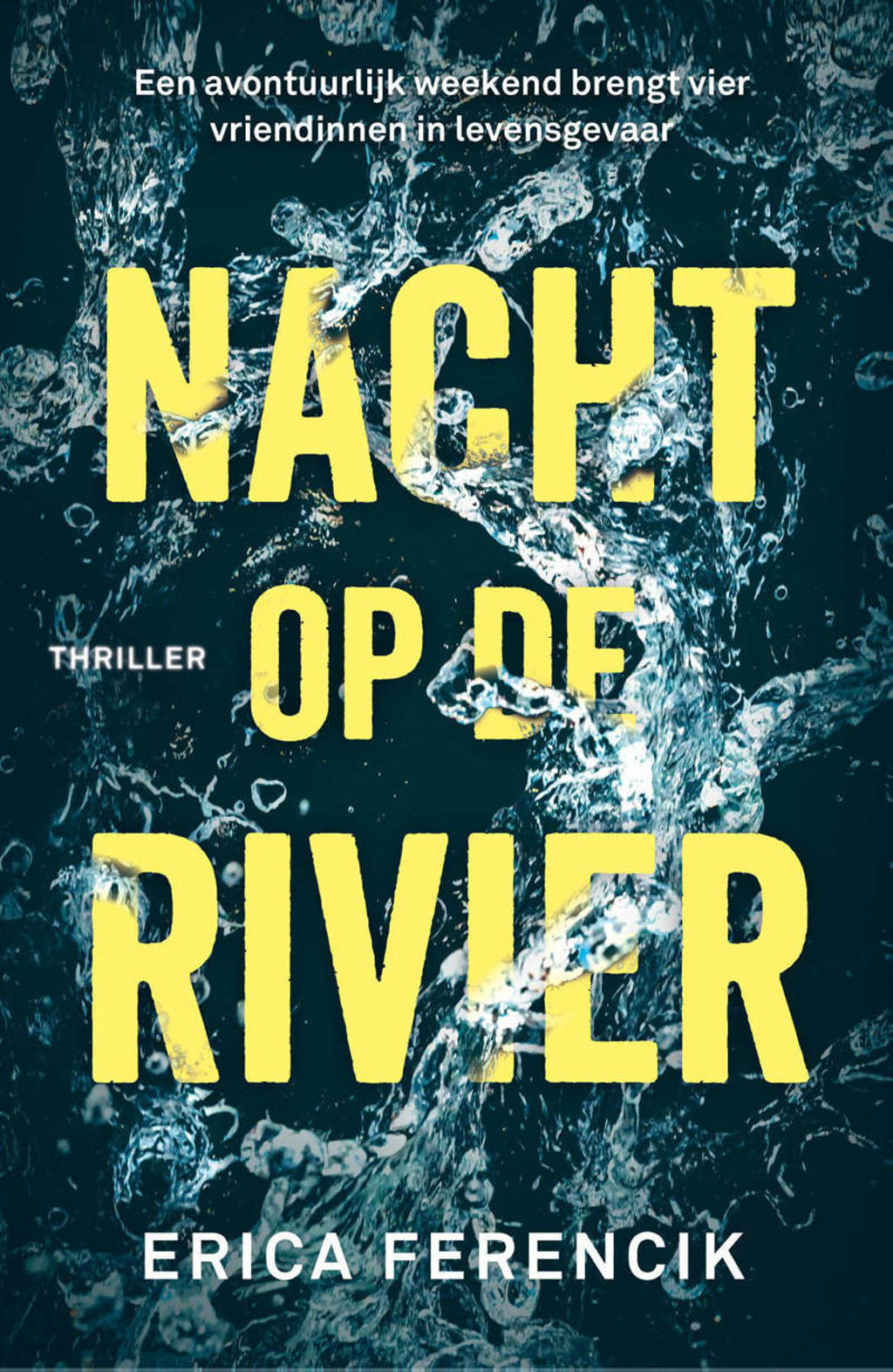 Nacht op de rivier - Erica Ferencik
