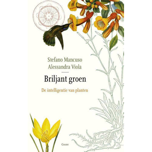 Briljant Groen Stefano Mancuso En Allessandra Viola huismerk kopen in de aanbieding