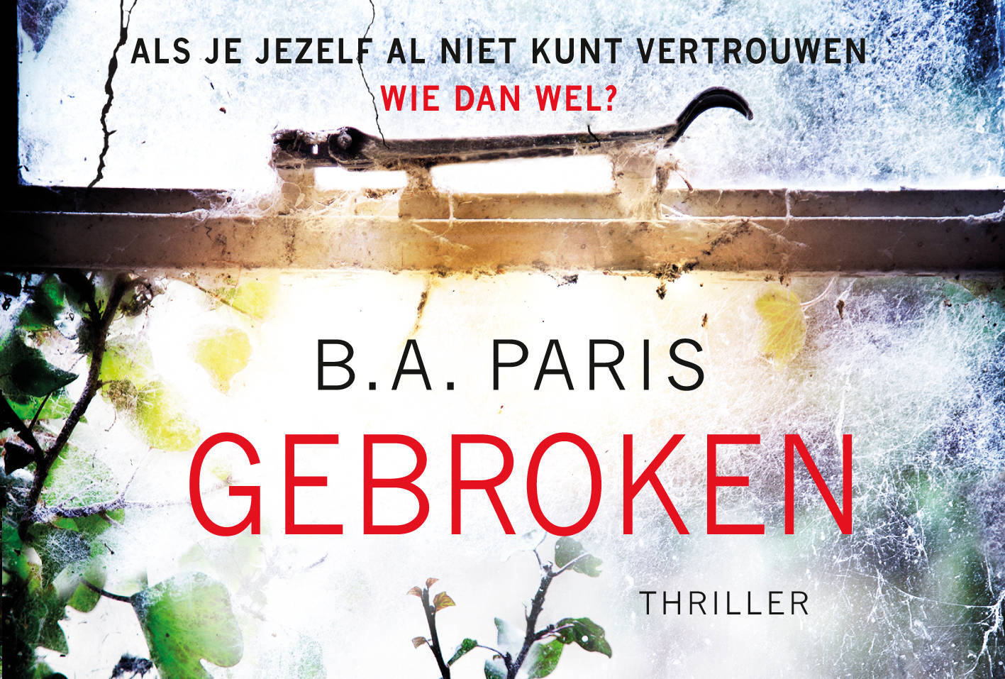 B.A. Paris Gebroken Kopen? | Morgen In Huis | Wehkamp