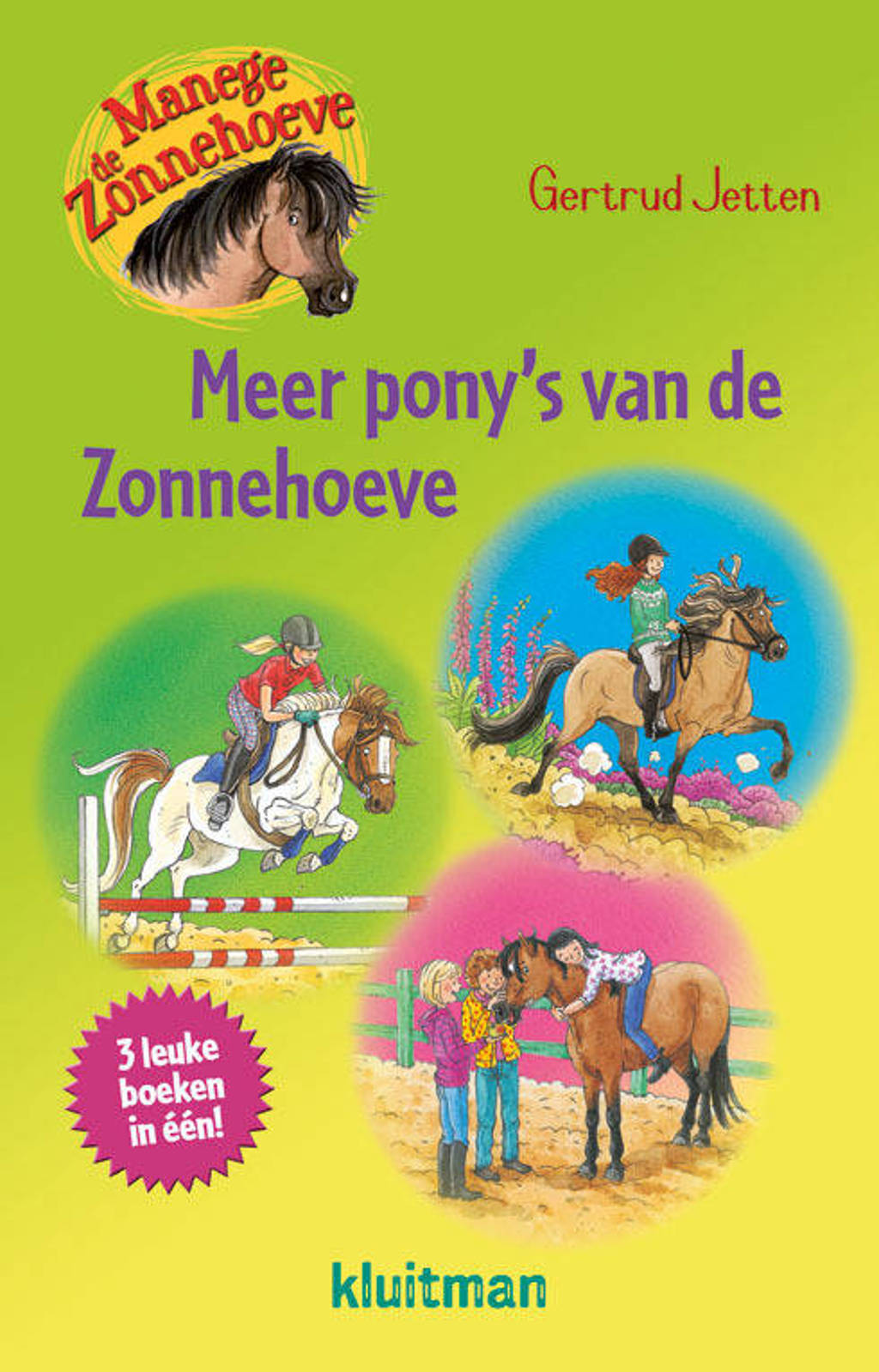 Manege de Zonnehoeve: Meer pony's van de Zonnehoeve - Gertrud Jetten