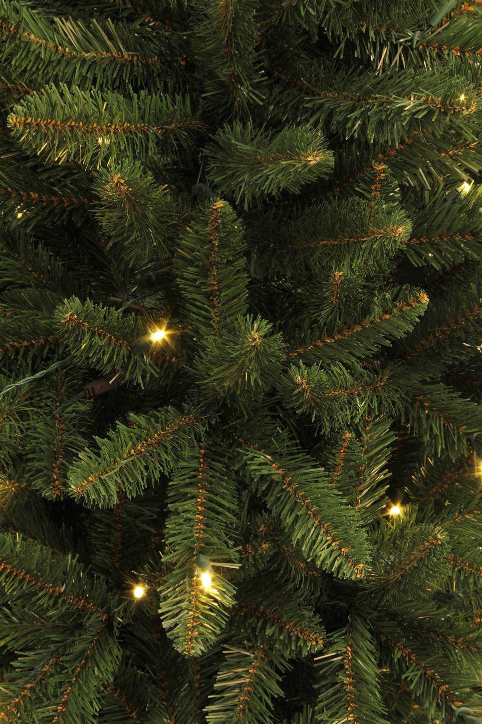 Black Box verlichte kerstboom Danfield (h215 x ø107 cm) | wehkamp Black Box verlichte kerstboom Danfield (h215 x ø107 cm) | wehkamp