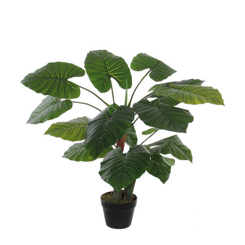 Mica Kunstplant Taro H90 Cm mica kopen in de aanbieding Mica Kunstplant Taro H90 Cm mica kopen in de aanbieding