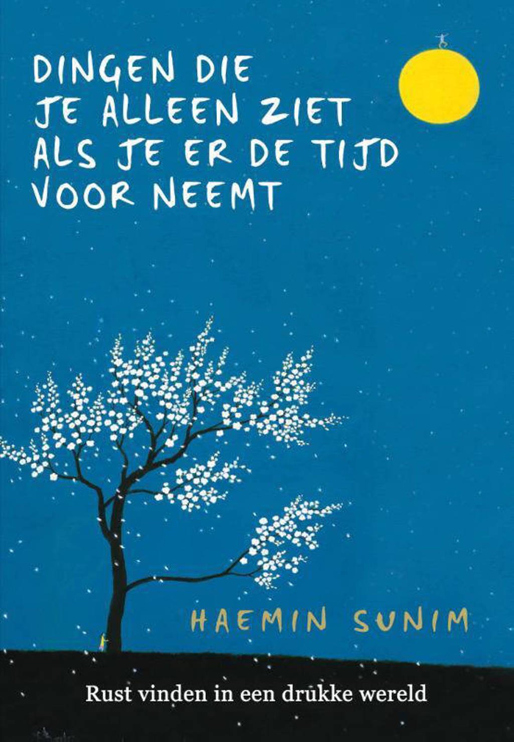 Dingen die je alleen ziet als je er de tijd voor neemt - Haemin Sunim